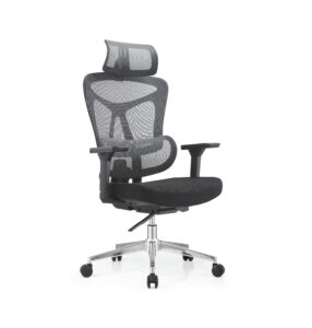 Ergo 7
