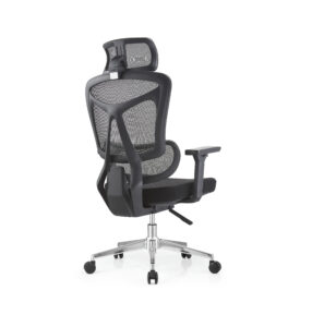 Ergo 7