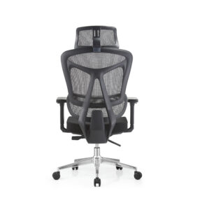 Ergo 7