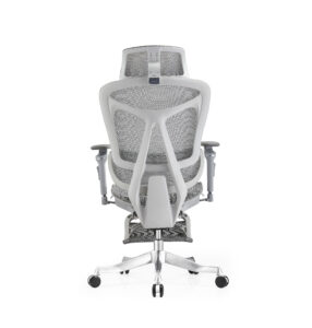 Ergo 7