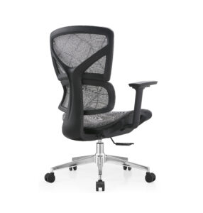 Ergo 3