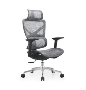 Ergo 3