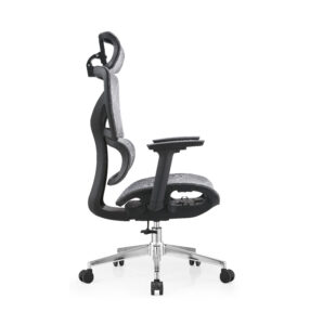 Ergo 3