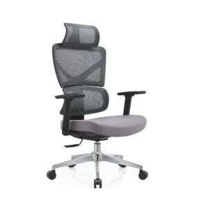 Ergo 3